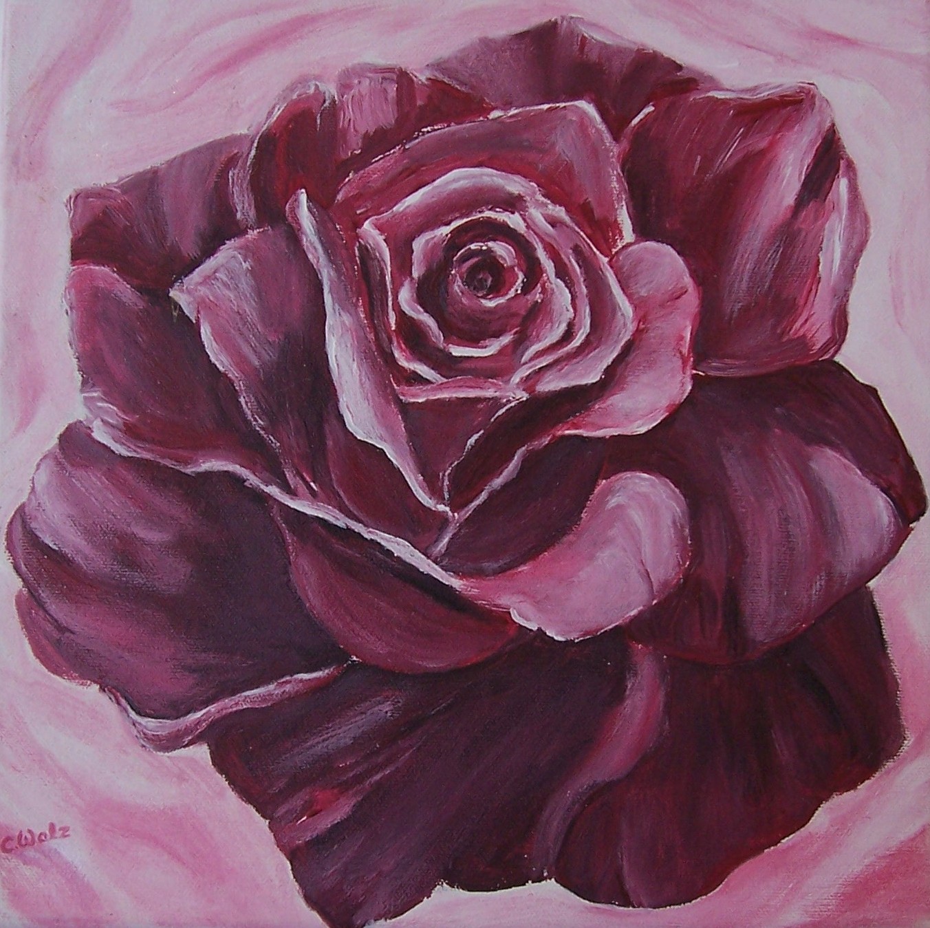 Rose in Beere-image
