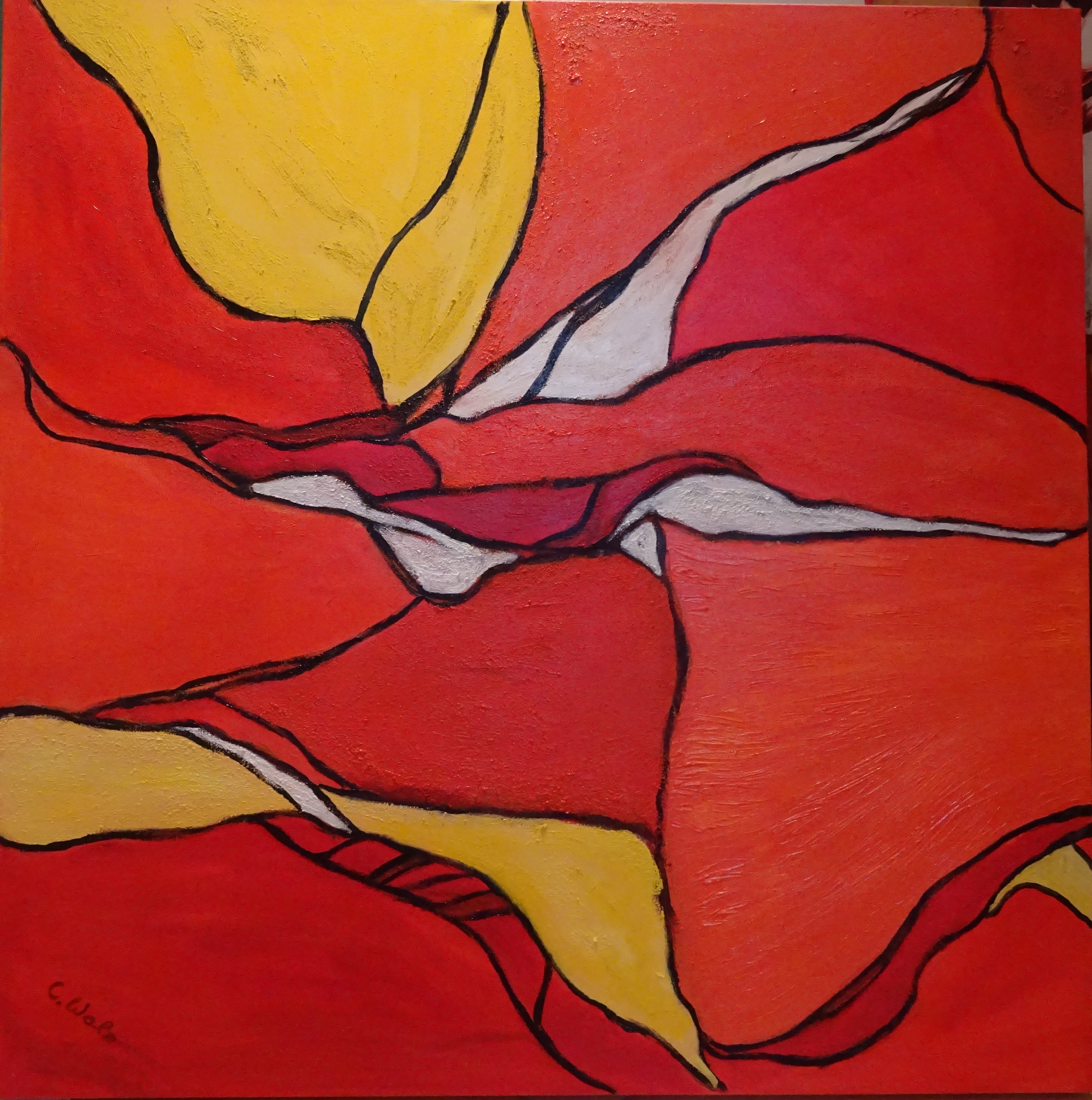 Fire on Ice one-image