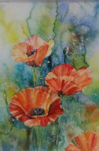 Mohnblumenwiese-image