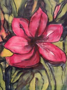 Hibiskusblüte-image